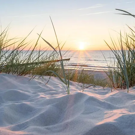 White Pearl 3.11 * تيميندورفير ستراند