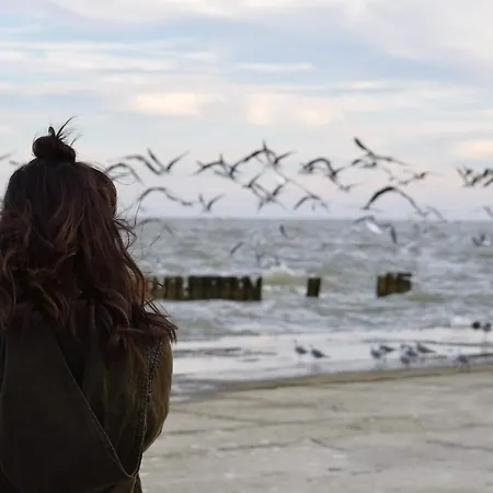 شقة White Pearl 3.11 *