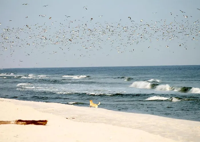 White Pearl 3.11 Timmendorfer Strand